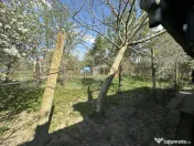 Teren intravilan 250 mp Bercu Roșu 