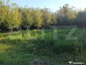 ???? Casă cu teren 1891 mp în Stupini – livadă și mult 