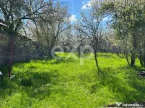 Casă la țară cu teren 3940 mp și livadă – zonă lini?