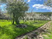 Casă la țară cu teren 3940 mp și livadă – zonă lini? 