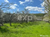 Casă la țară cu teren 3940 mp și livadă – zonă lini? 