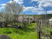 Casă la țară cu teren 3940 mp și livadă – zonă lini? 
