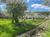 Teren 3940 mp cu livadă si bonus Casa la tara in zonă lini 