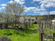 Teren 3940 mp cu livadă si bonus Casa la tara in zonă lini 