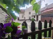 Poveste saseasca la umbra vitei de vie,cu crama,gradina flor 