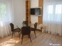 Apartament 2 camere cu gradina si garaj Baneasa