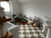 Cazare cabana la munte, Vatra Dornei 