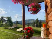 Cazare cabana la munte, Vatra Dornei 