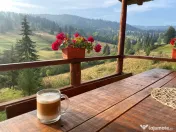 Cazare cabana la munte, Vatra Dornei 