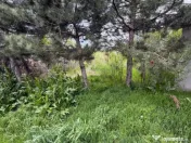 Casa de vanzare ,90 mp constructie ,teren 1400mp ,parcelabil 