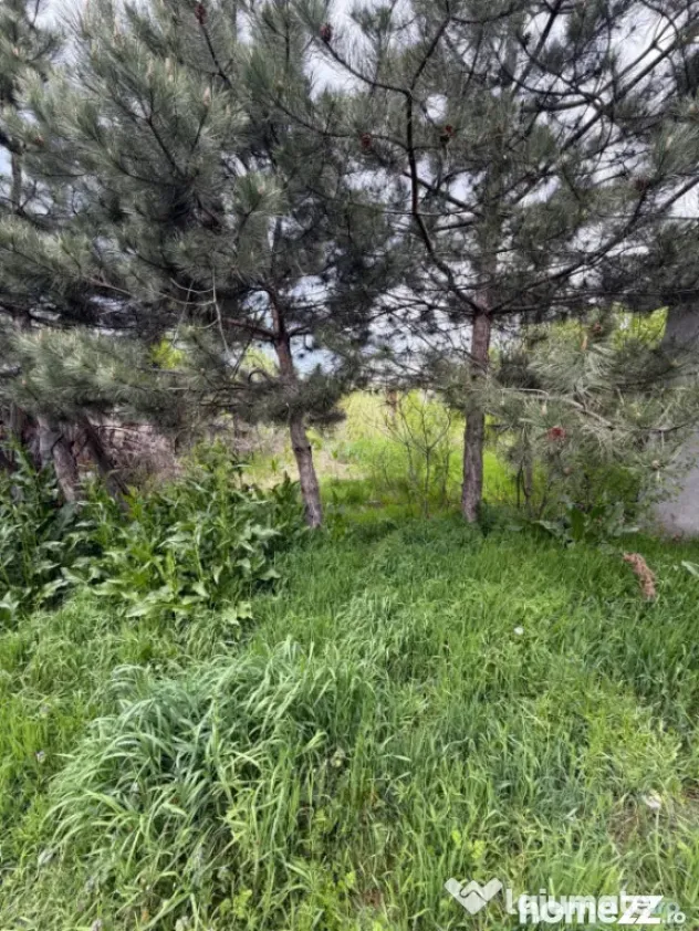 Casa de vanzare ,90 mp constructie ,teren 650mp ,str Rozelor - Filiasi (Dolj)