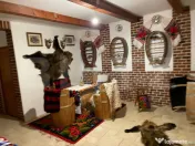 Penthouse de lux 230 mp utili + terasă panoramică 50 mp | 