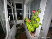 Apartament 3 camere - Podul de Piatră 