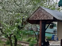 Casa cu garaj, livada si vie inRaristea 