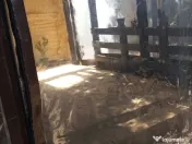 Schimb Apartament 2 camere Obor cu 3 sau casa 