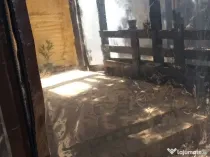 Schimb Apartament 2 camere Obor cu 3 sau casa