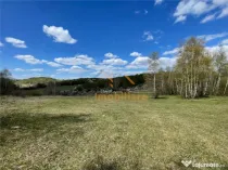 TEREN EXTRAVILAN | 103.000mp | BALANACA-GROSI | PASUNE | PAS