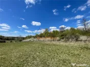 TEREN EXTRAVILAN | 103.000mp | BALANACA-GROSI | PASUNE | PAS 