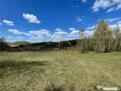 TEREN EXTRAVILAN | 103.000mp | BALANACA-GROSI | PASUNE | PAS 