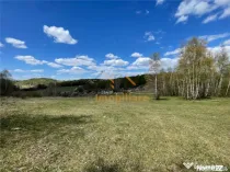 TEREN EXTRAVILAN | 103.000mp | BALANACA-GROSI | PASUNE | PAS
