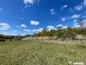 TEREN EXTRAVILAN | 103.000mp | BALANACA-GROSI | PASUNE | PAS 