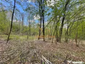 TEREN EXTRAVILAN | 103.000mp | BALANACA-GROSI | PASUNE | PAS 