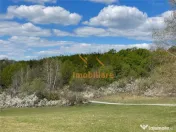 TEREN EXTRAVILAN | 103.000mp | BALANACA-GROSI | PASUNE | PAS 