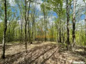 TEREN EXTRAVILAN | 103.000mp | BALANACA-GROSI | PASUNE | PAS 