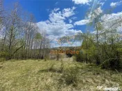 TEREN EXTRAVILAN | 103.000mp | BALANACA-GROSI | PASUNE | PAS 