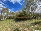 TEREN EXTRAVILAN | 103.000mp | BALANACA-GROSI | PASUNE | PAS 