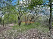 TEREN EXTRAVILAN | 103.000mp | BALANACA-GROSI | PASUNE | PAS 