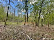 TEREN EXTRAVILAN | 103.000mp | BALANACA-GROSI | PASUNE | PAS 