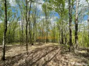 TEREN EXTRAVILAN | 103.000mp | BALANACA-GROSI | PASUNE | PAS 