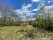 TEREN EXTRAVILAN | 103.000mp | BALANACA-GROSI | PASUNE | PAS 