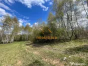 TEREN EXTRAVILAN | 103.000mp | BALANACA-GROSI | PASUNE | PAS 