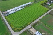 Teren intravilan 7.811 mp | Ciolpani, Ilfov | Acces drum pub 