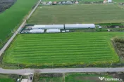 Teren intravilan 7.811 mp | Ciolpani, Ilfov | Acces drum pub 