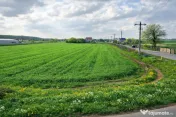 Teren intravilan 7.811 mp | Ciolpani, Ilfov | Acces drum pub 