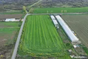 Teren intravilan 7.811 mp | Ciolpani, Ilfov | Acces drum pub 