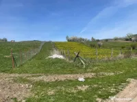 Teren de vânzare 2300 mp în Vâlcele (Cluj) – intravilan 