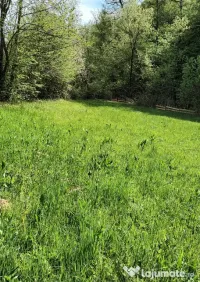 Vând Teren Extravilan în Gladna Montană 