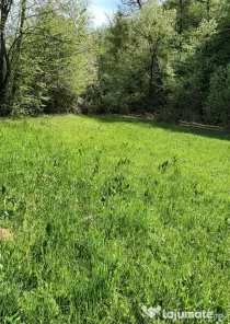 Vând Teren Extravilan în Gladna Montană 2964mp