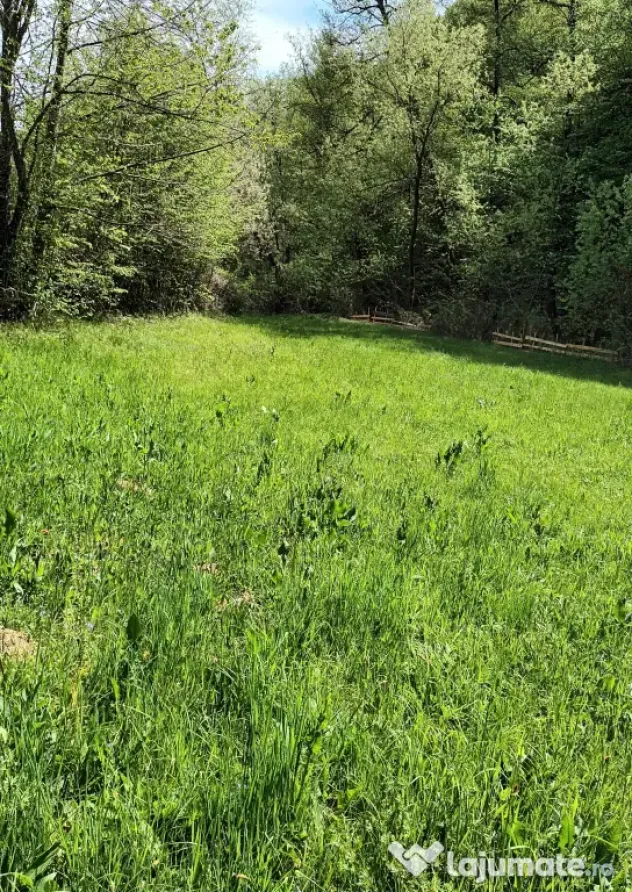 Vând Teren Extravilan în Gladna Montană 2964mp