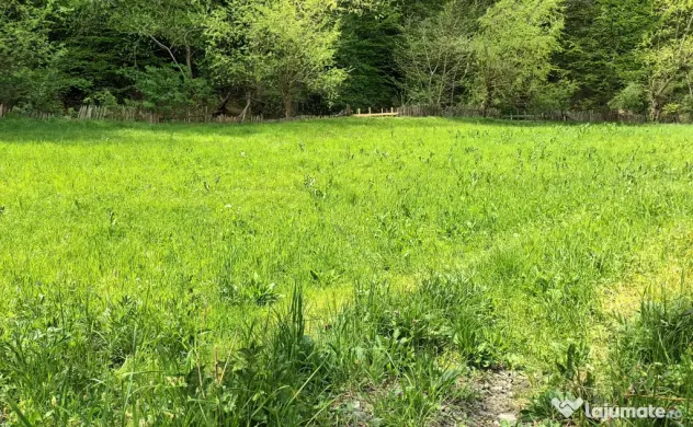 Vând Teren Extravilan în Gladna Montană 2964mp