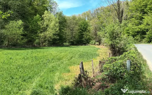 Vând Teren Extravilan în Gladna Montană 2964mp