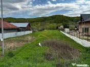 Teren intravilan de vanzare 2900 mp Luncani Bacau 