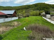 Teren intravilan de vanzare 2900 mp Luncani Bacau 