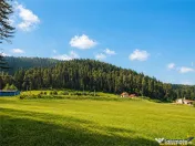 Incantator parc privat, 1.500mp: casa penisune refugiu mon 