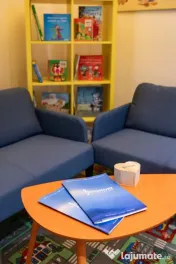Vila de inchiriat-Pretabila activitati diverse-Zona Carol 