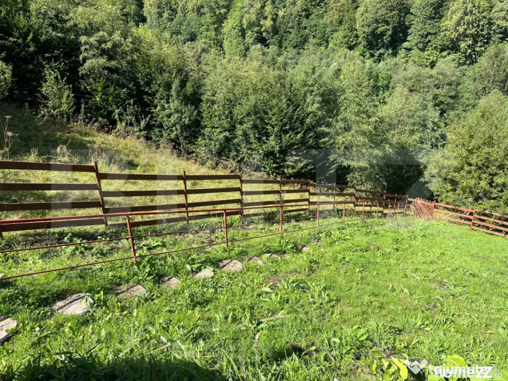 Cabană 5 camere, teren de 1000 mp, Valea Ierii - Valea Ierii (Cluj)